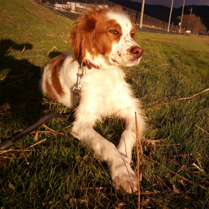 29d677d5 d1af 439a 9d98 62f9e4dad3f7 1514697491257