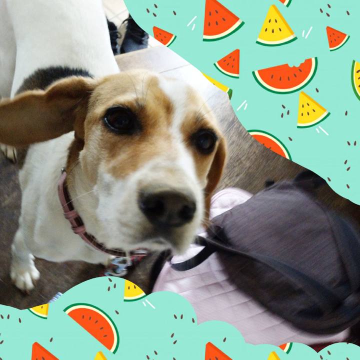 29d67ae1 9f2a 4072 b50c a483c128fe23 1592542048081