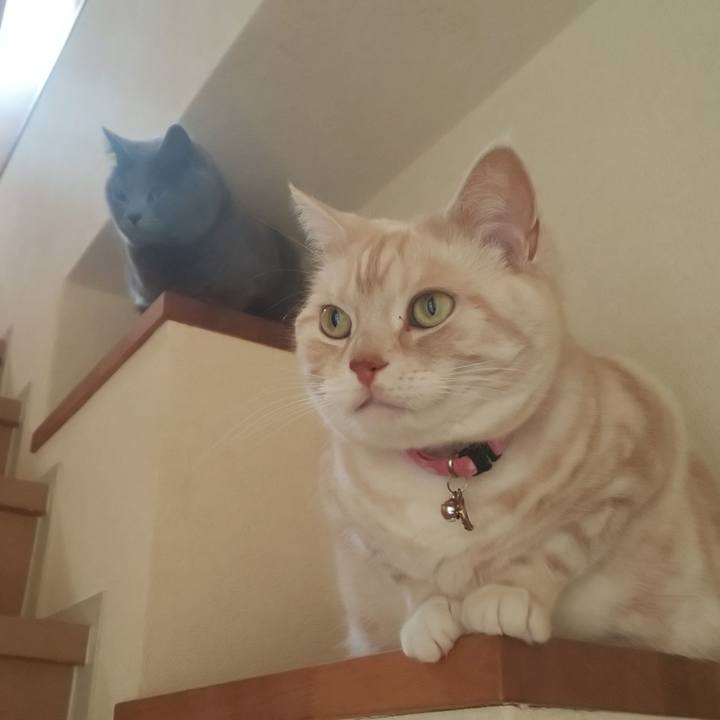 29d680ab b59f 476e 9905 a768fb98c8b9 1556265519554