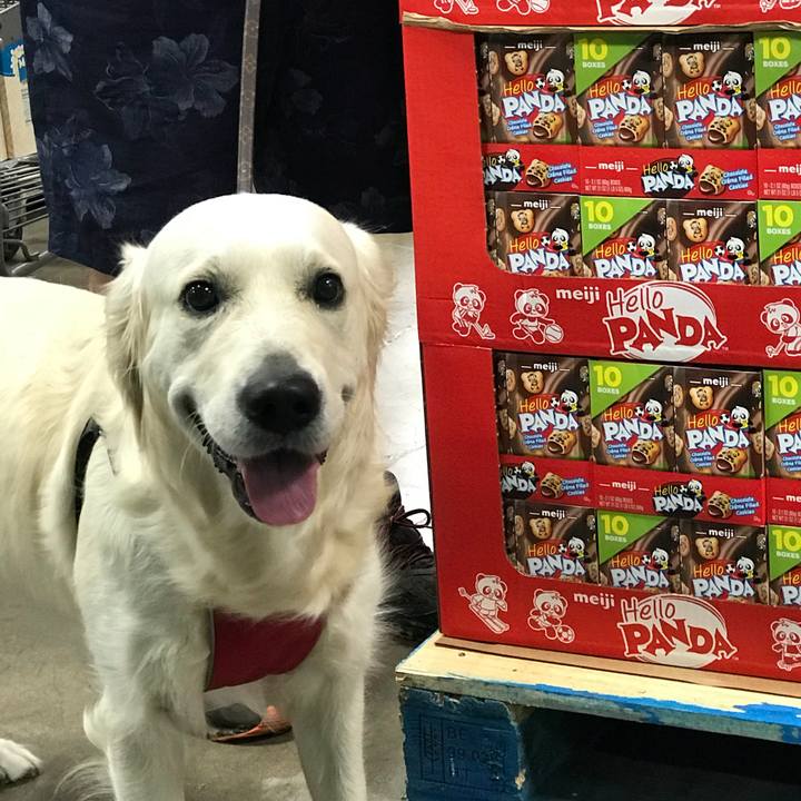 29d6831e a523 4bb1 bb0b aa6b7b877a23 1525854088206