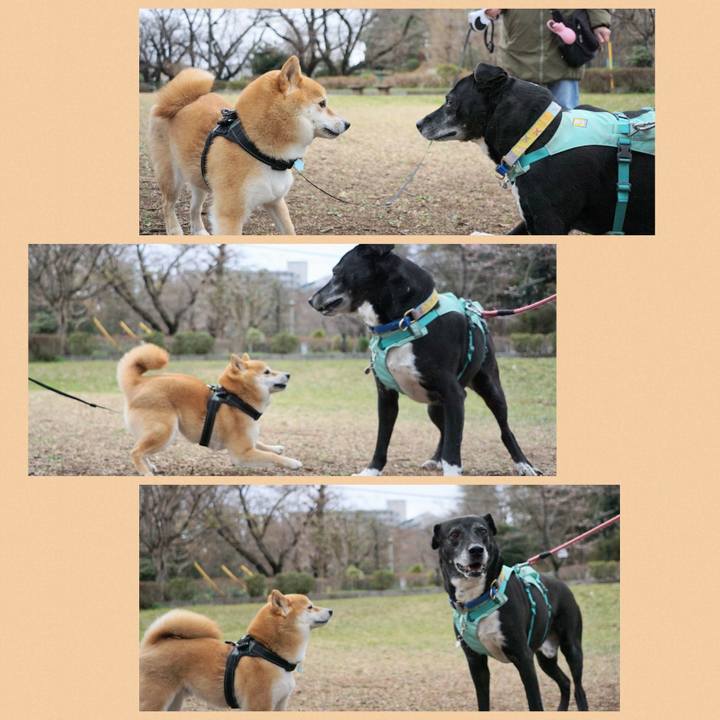 29d6cada 005e 4e23 a91f a64ca71e4496 1773967147559