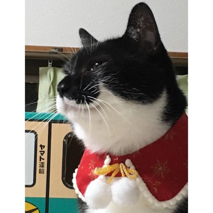 29d6dbdd b4c1 4265 8b28 42bb0bcb96ee 1514134103943