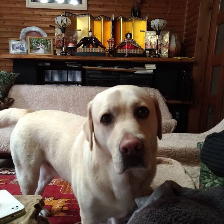 29d6e780 ac75 4e6b 8ffc bdf533839ee4 1551591828890