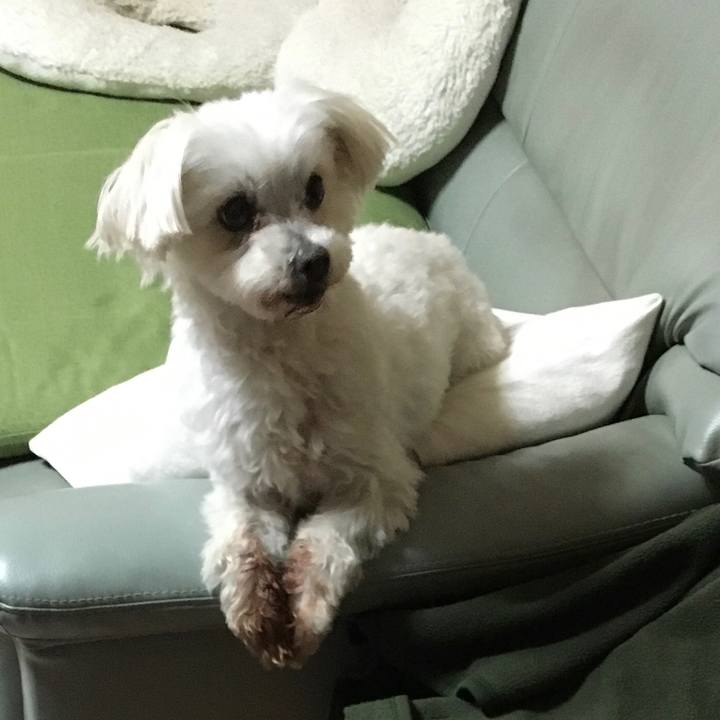 29d6f519 d316 463b 8c52 254083278703 1646115716372