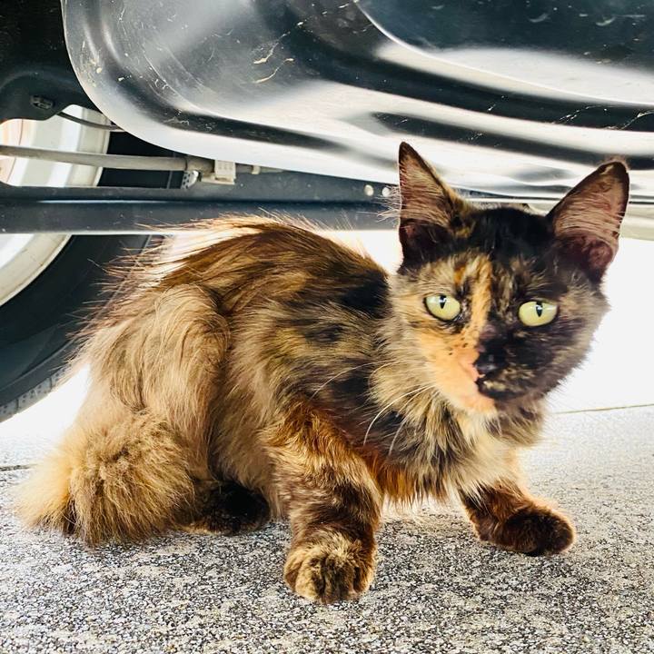 29d6fec8 4d55 4e1e 84c0 eebb2a805d66 1687653819188