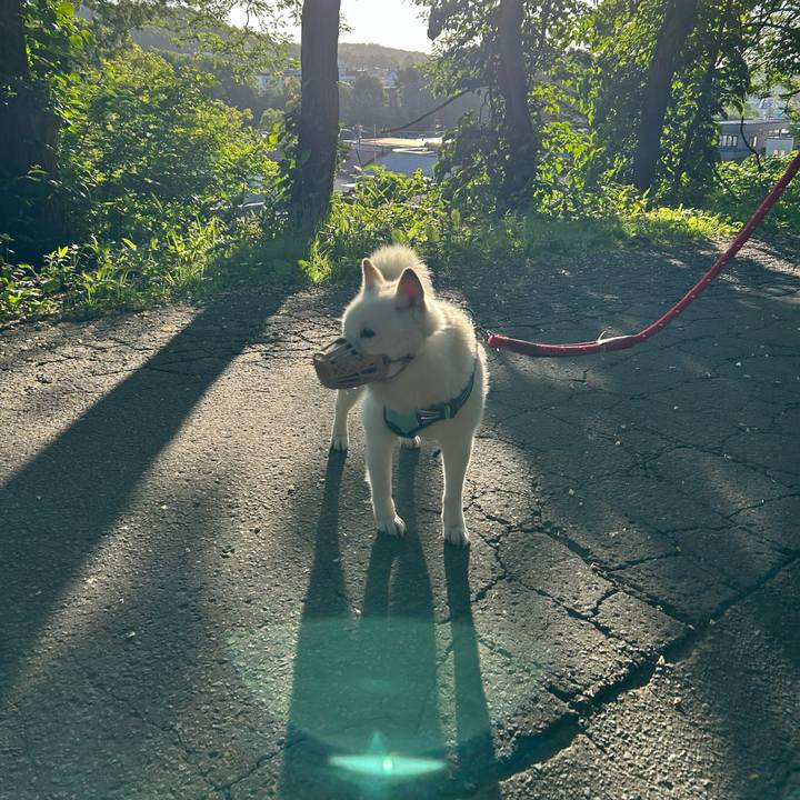 29d7144d f561 4e45 ac7f a8753f71007a 1687035175394