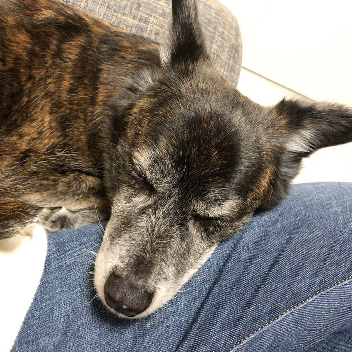 29d72a4b 856f 495c 8b86 34e7c8d40d5c 1670064592074