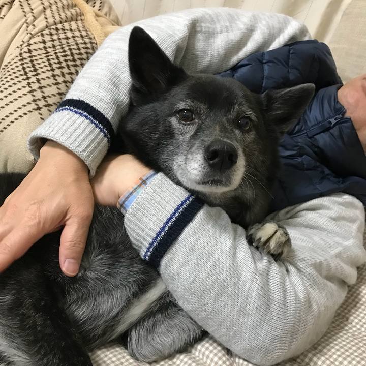 29d74eb2 1984 41d8 b14f 4ed1571768e9 1520337803762