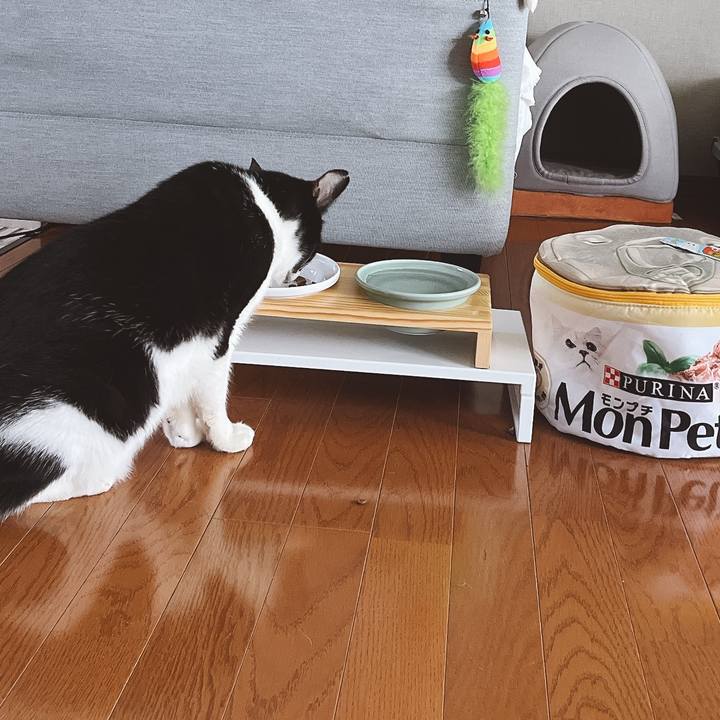 29d7b894 b8a5 4bd2 8a95 c076e8caa4eb 1655030787610