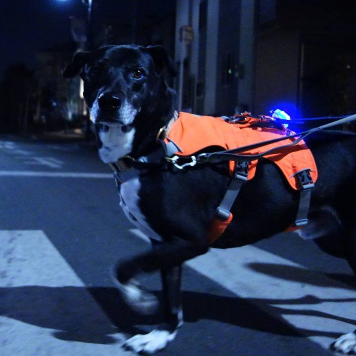 29d7f7b5 f47c 48a3 b0c4 eff751f797a1 1740826428224