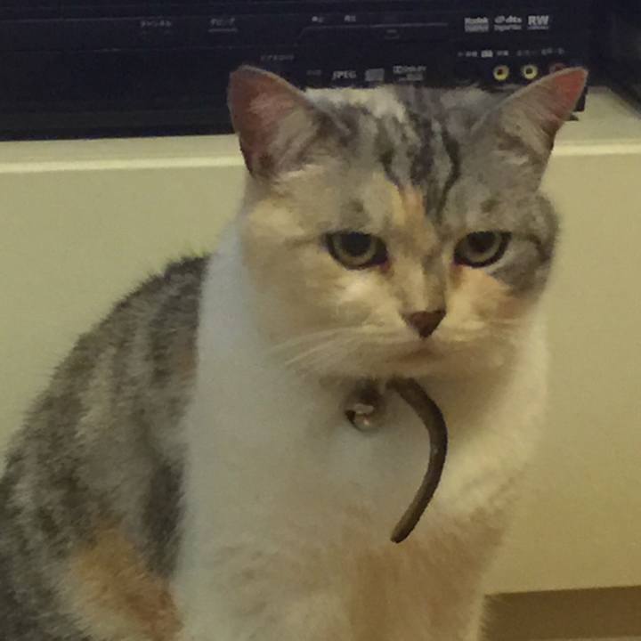 29d7fd79 ece8 4335 9281 307cf3e433c5 1561803923090