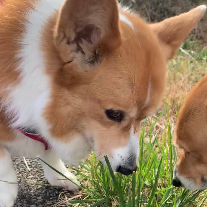 29d802f2 9cfa 415d 9362 03fa05f7ae35 1638156703359