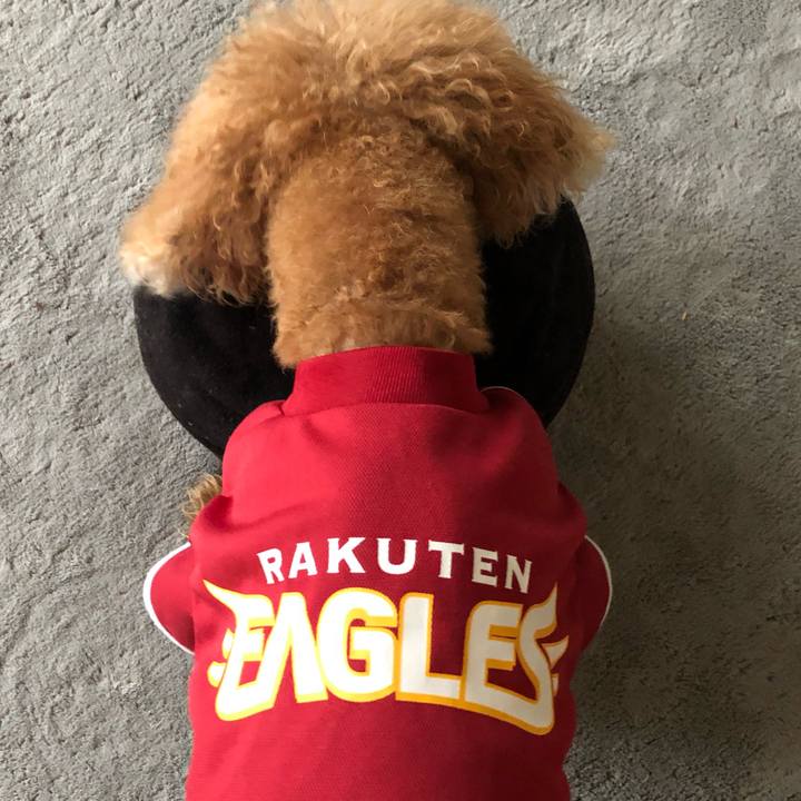 29d82d16 bd16 4ef7 b6a5 0cd46c9e2f12 1593998411566