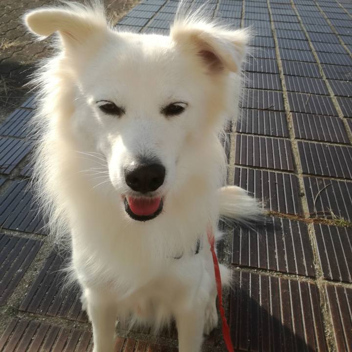 29d86e1f eb43 49e7 8900 da190de10566 1509929733998