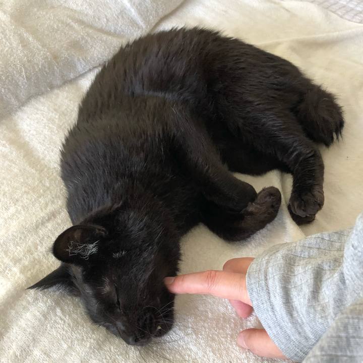 29d8932f 1632 4884 937e 2ba2e3e06db3 1591224053769