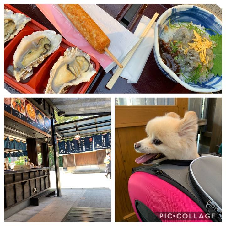 29d8c16e e0c3 48f5 85f0 a7e035f771f4 1570609966364