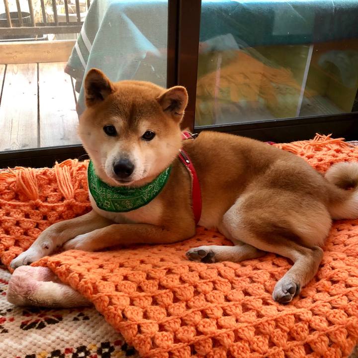 29d905ee 000a 4ed4 a3d5 0f7fc5702b84 1522064953254