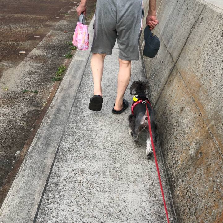 29d91820 007d 4552 93e7 02012b1d9ee1 1532814691890