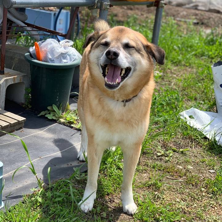 29d91aa9 ff93 4a29 af9b aa8c1e3fe0c9 1559130012272