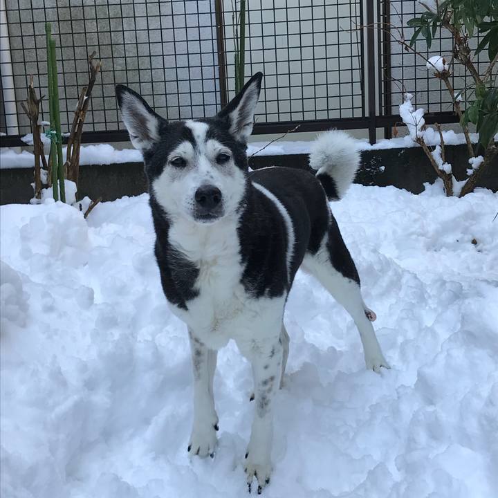 29d9279d 658b 43a3 9bdf e7366403017f 1516674774993