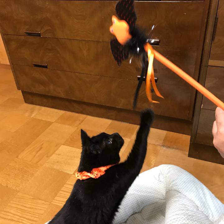 29d96fb2 57e4 4444 8e89 c93b56e8e0e9 1561247812271