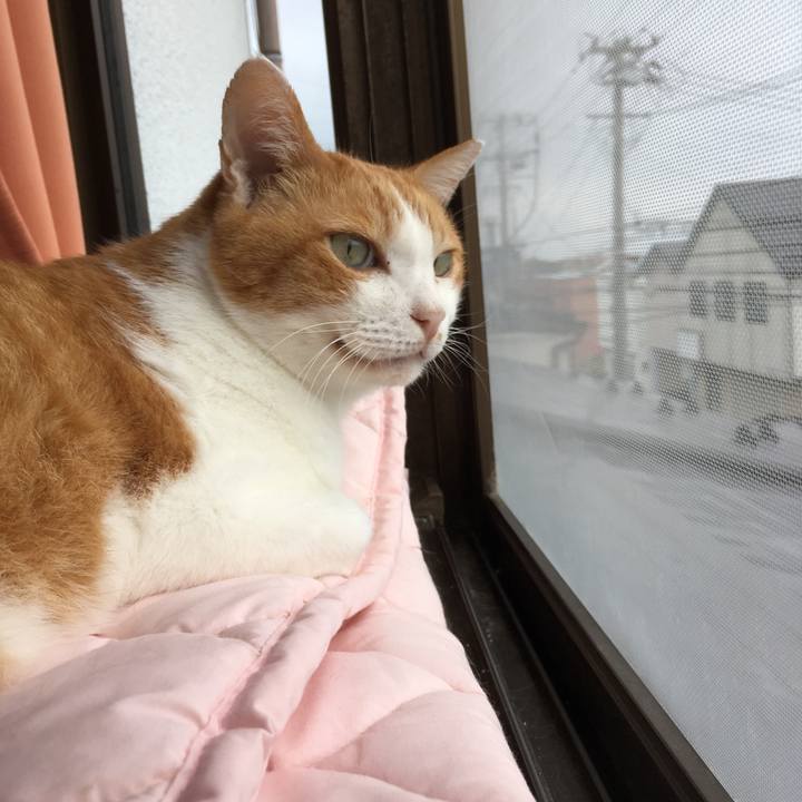 29d980d8 383e 4e3a a456 594fb4920ce2 1572329678050