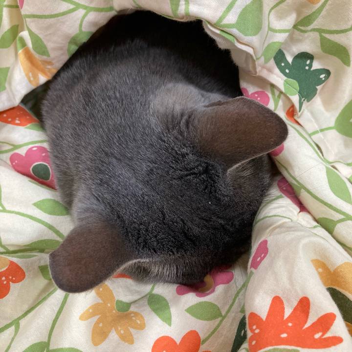 29d9906f 68fe 4392 a684 b9bf0982513c 1687439997274