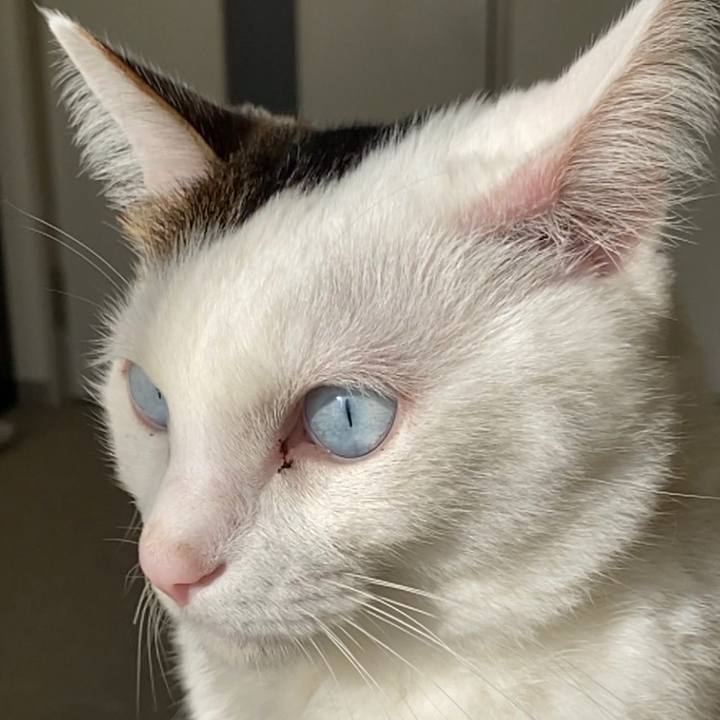 29d9baaa ec81 4295 8439 feace9e35d03 1673049143066