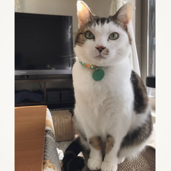 29d9be59 8d84 46ce 8c43 b79bcd6303ad 1547795305707