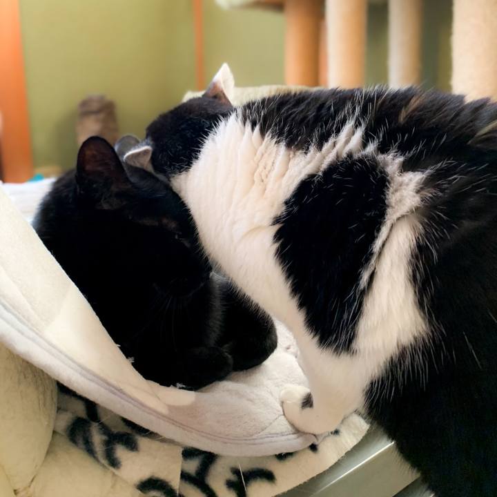 29da5cb7 ecbd 488d a7ba 8922a23b41e9 1583112344609