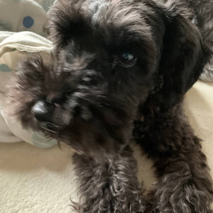 29da5d62 2546 4a76 93ba f0b83ef95cf8 1601083749929