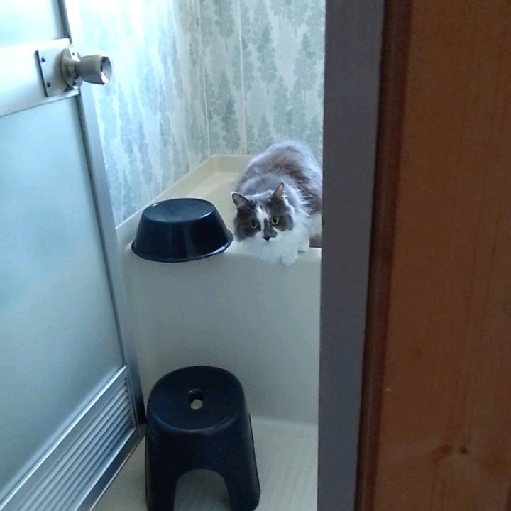 29da7d7b 06be 4ac7 958f 2cb5834bafc1 1685785734501