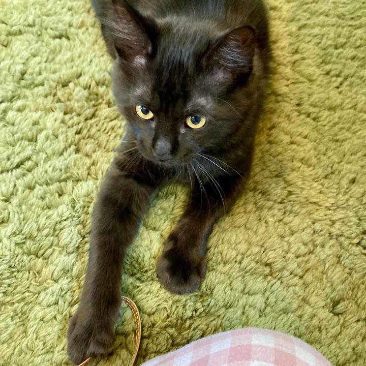 29dab2ba 9325 490c b4d9 91cd2d507036 1703845595700