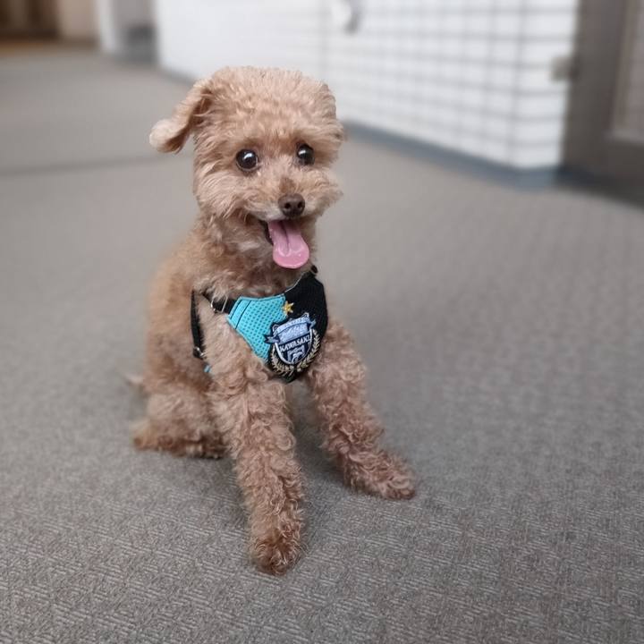 29dacc7a 69e1 4f01 9c58 1df42f238423 1629839057615