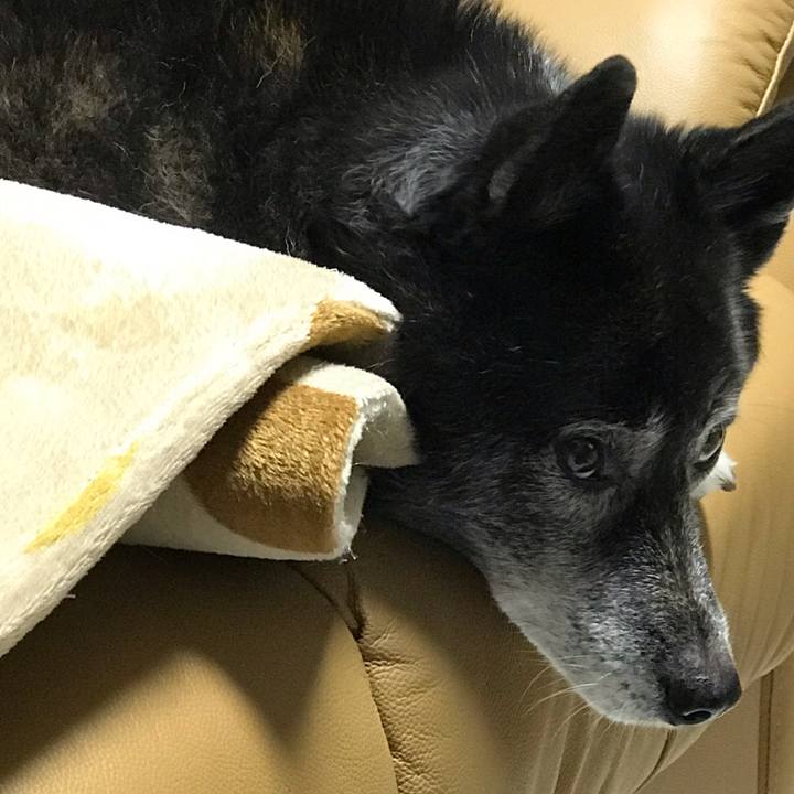 29dad8ab cecf 484d ad22 8ec3a5e13282 1606016565978