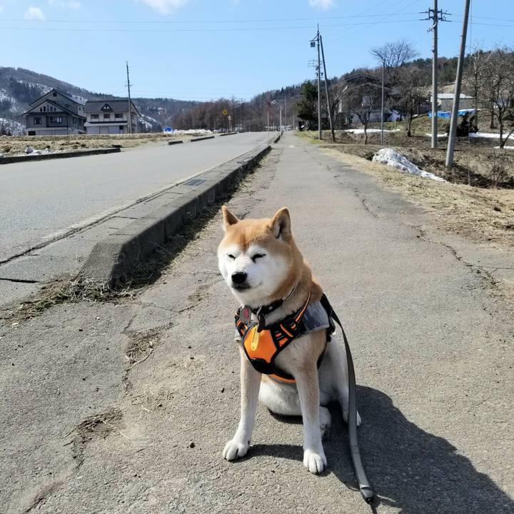 29dae0f0 edab 4123 931b 76b022353746 1615695943012