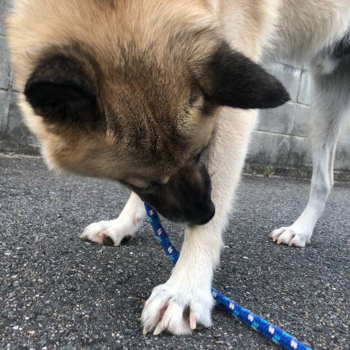 29db239b bd8f 4da4 bafd a2fa4502979f 1626696809302