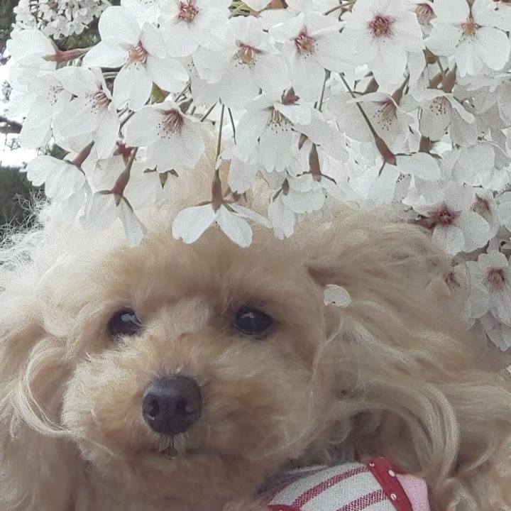 29db6bbe e612 4585 a53a de47d9c97349 1586608400057