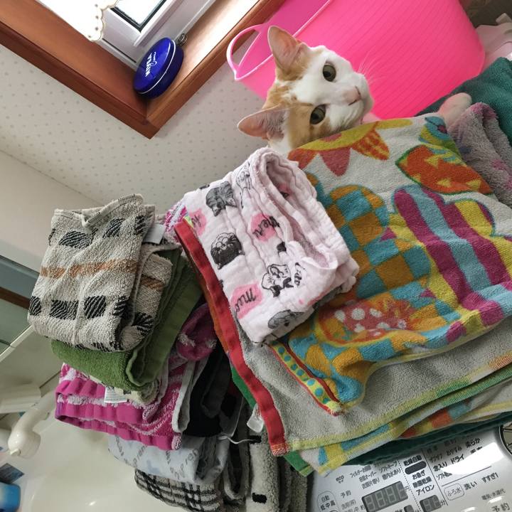 29db9670 fbeb 45d6 913f 4f3b19d52c57 1527737618162