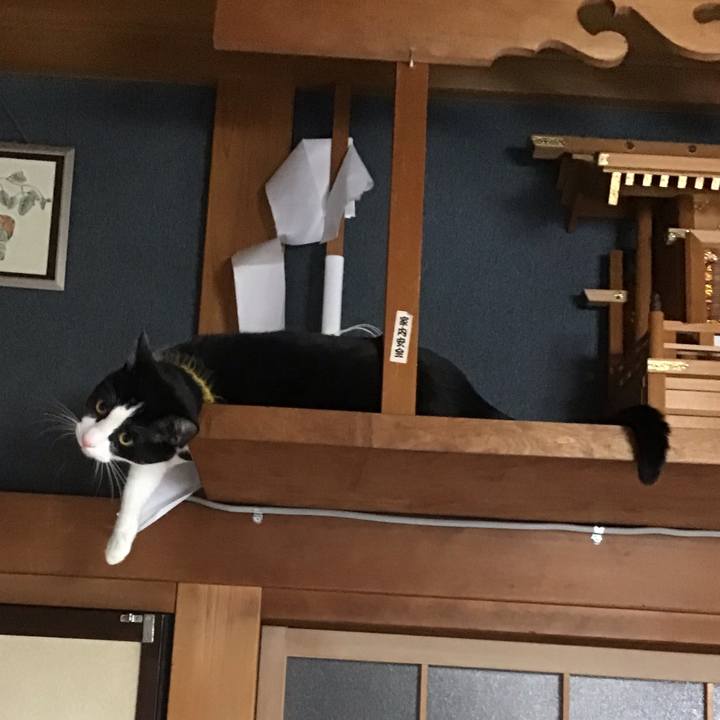 29dbcbea bc2f 43a2 8955 5246827ee2fd 1648971474430