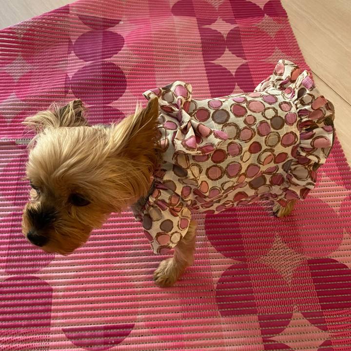 29dbd4a6 a001 4526 9f75 d52e06a413e5 1630150781608