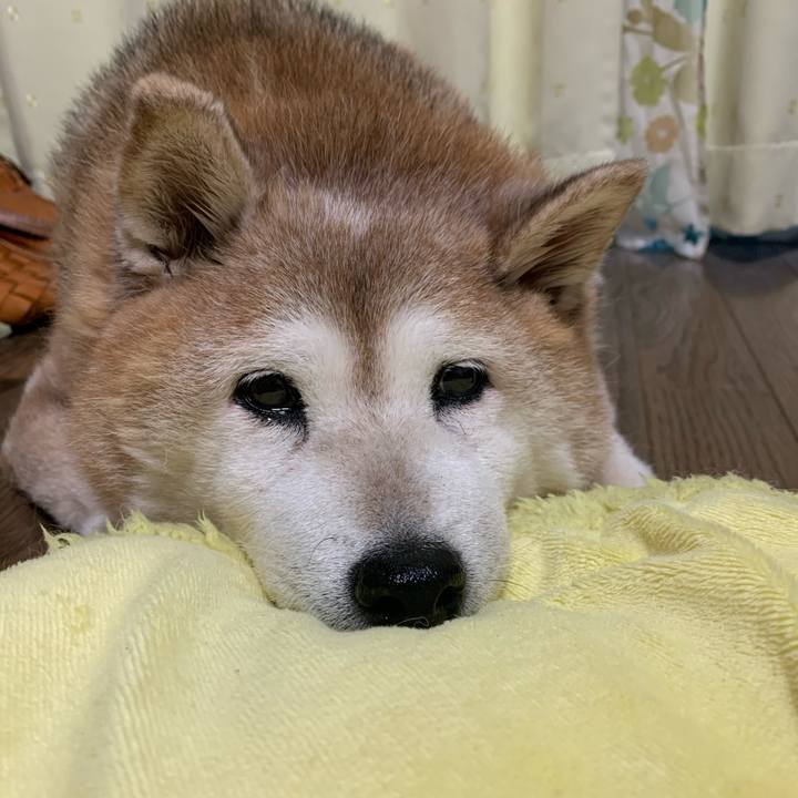 29dbf5ee 2ef7 476e 914c 2cc3a8f081be 1622367657505