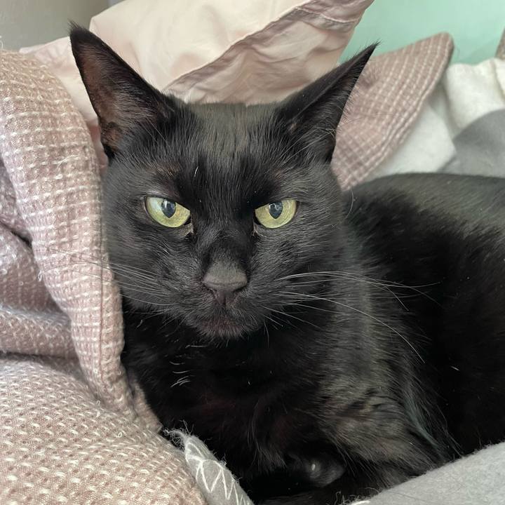 29dc0345 cdc3 4603 bc82 6dd7f4ddd7e8 1708231768885