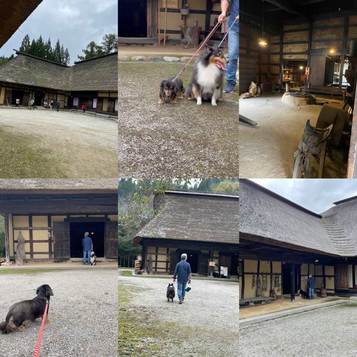 29dc0711 6b47 4a74 880e 33bbbb8ef777 1633853783412