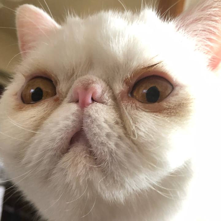 29dc24e1 e35a 4d35 bd78 251302da937d 1588722889005