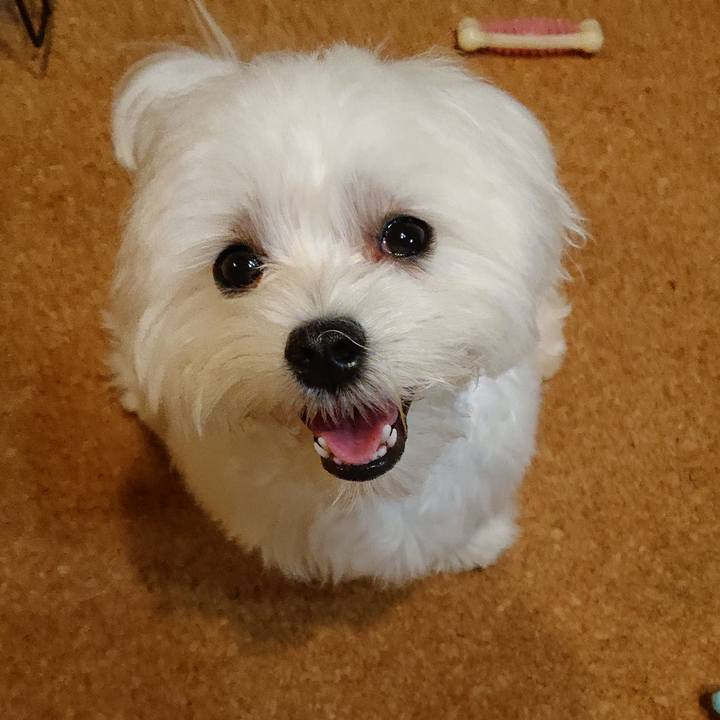 29dc3220 48bc 40fd a7ec 0151da5c0e44 1566606191071