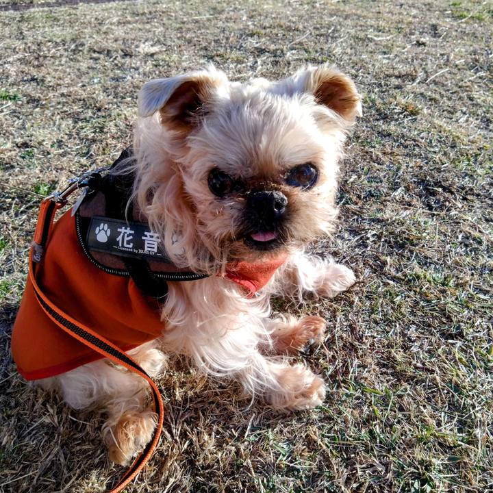 29dc3343 eef3 4c21 a84a 71e498281628 1702196188830