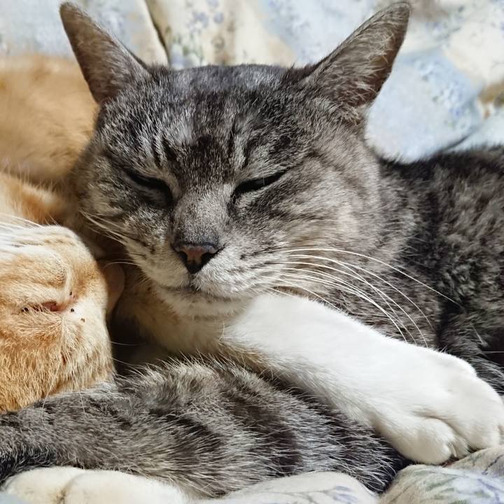 29dc4565 175b 4511 8611 0850c82483bd 1583238887898