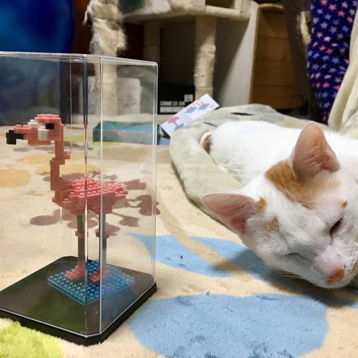 29dc4d62 fa71 44df a68f 8f8e54a00d8d 1511682300260