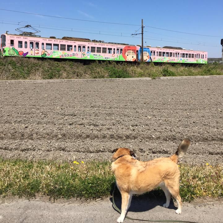 29dc8dc3 c461 4657 82cf 3f0a39ee7bfb 1555392801814